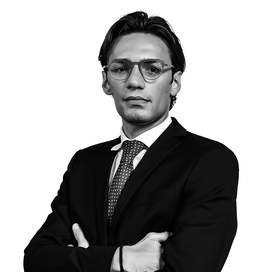 Tommaso Cibrario, Vice President